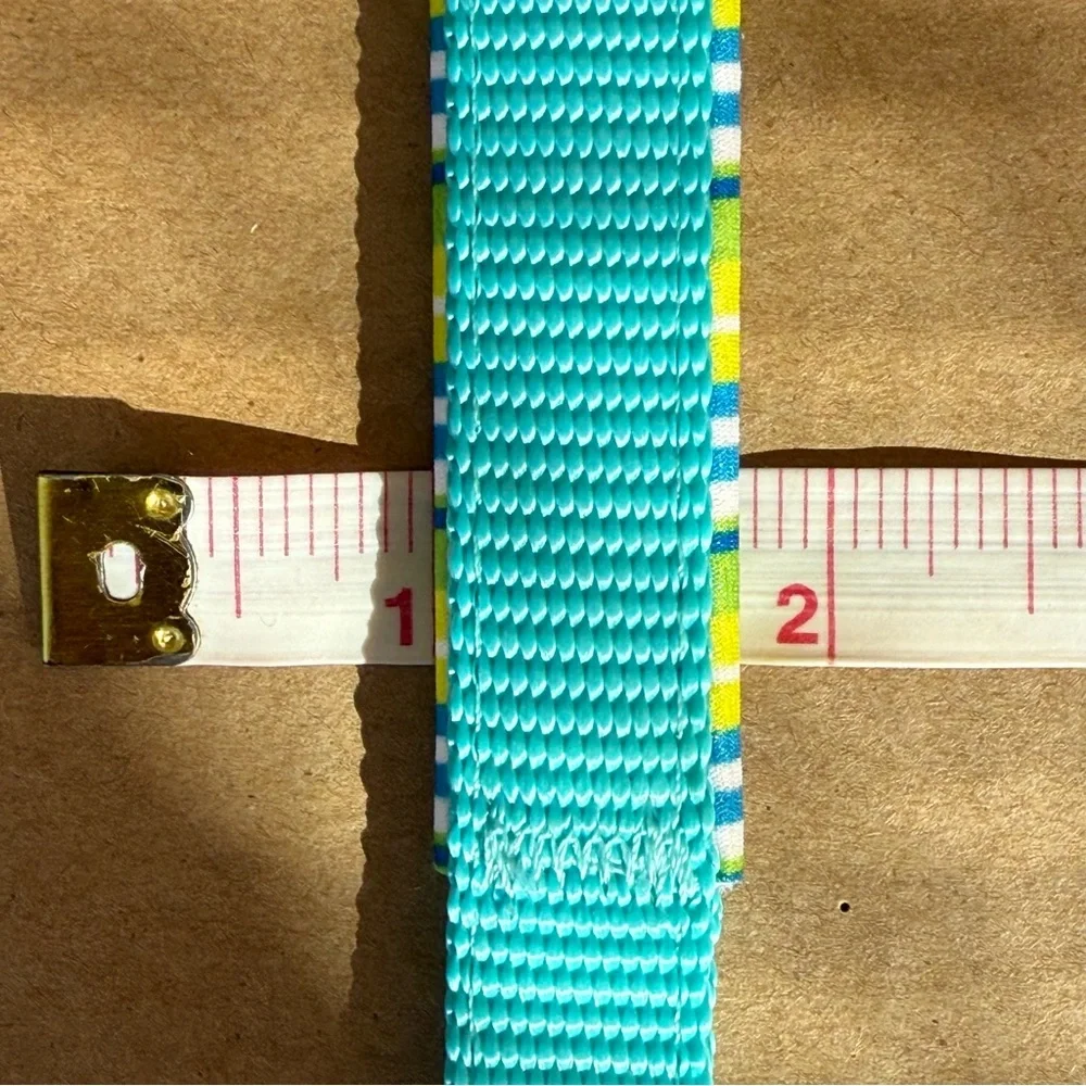 NWOT Padded Adjustable Small Teal Blue Green Dog Collar Bone Shape Enamel Buckle